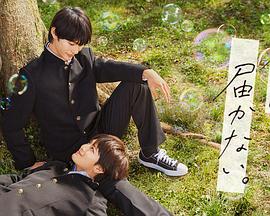 兴庆区工业品网站优化